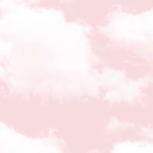 Meet your Posher, Aimet